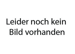 Injektor-Flachstrahldüsen Turbo TeeJet-Induction TTI 110°, grau